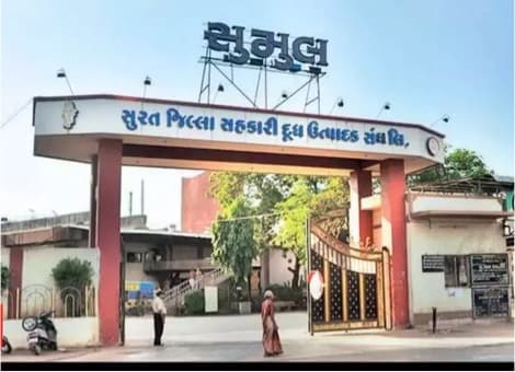 BJP-nominated  Jitendra Patel  elected as director Sumul Dairy