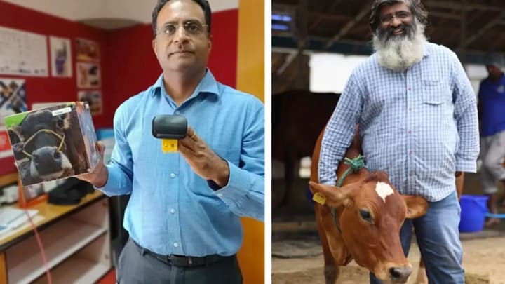 Dairy entry.Looking for unicorns among livestock