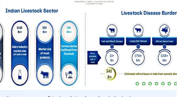 YEAR END REVIEW 2024: ANIMAL HUSBANDRY AND DAIRYING
