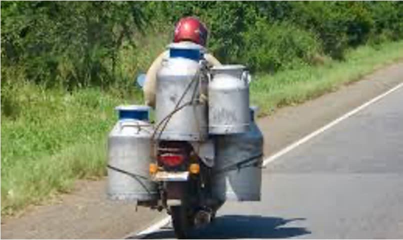 Indore Maintains Steady Milk Collection Despite Seasonal Pressures