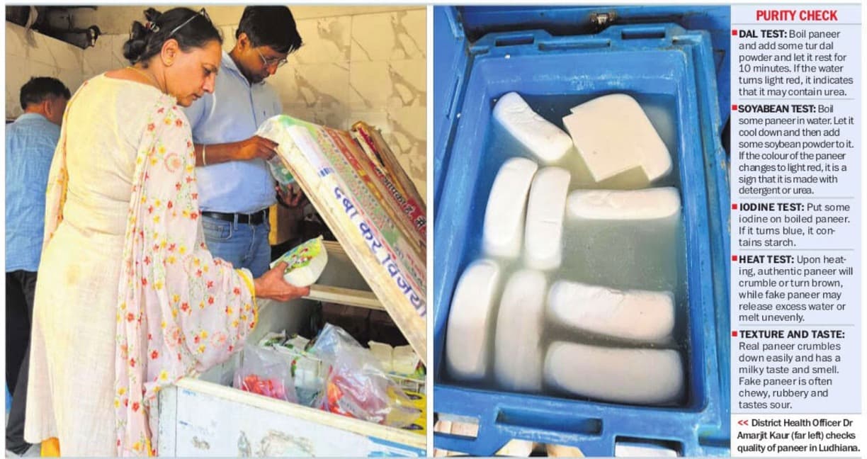 Punjab Raises Red Flag on Fake Paneer after Food Safety Drive