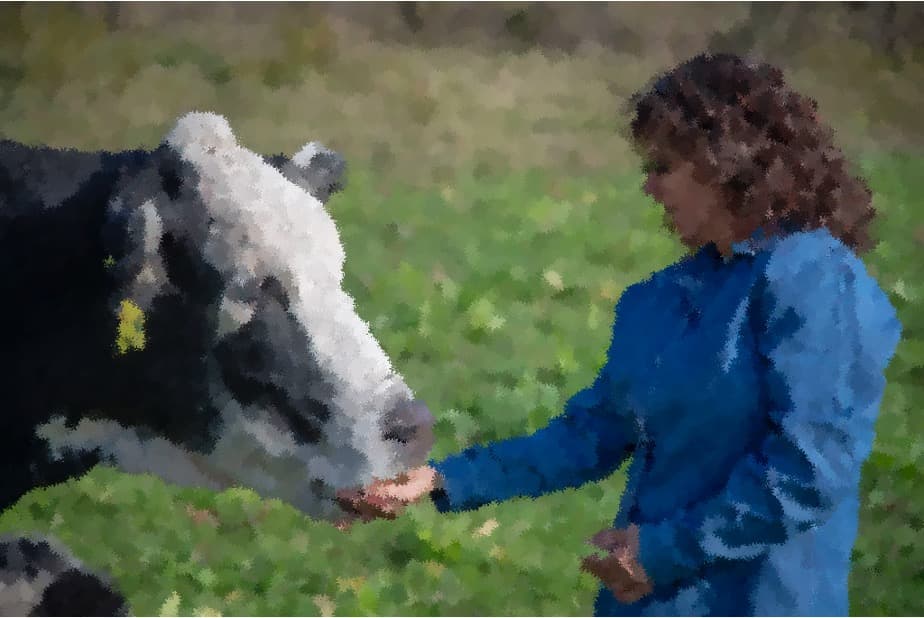 Women Leaders Power Progress in U.S. Dairy Industry