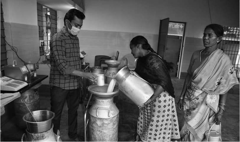 Tamil Nadu Launches ‘White Wave’ to Revive Failing Milk Co‑ops