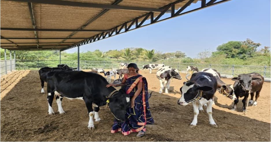 Abbott’s Project Ksheersagar boosts milk by 55%