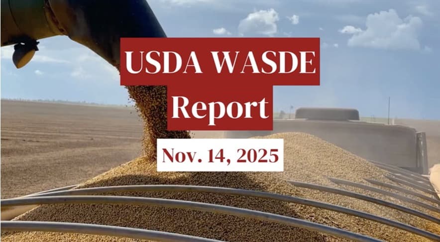 USDA Resumes WASDE Report After October Gap