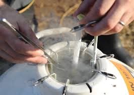 Sexed Semen Use Rises, Heifer Numbers Recover Slowly