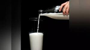 Milk Quality Concerns Shadow India’s Dairy Growth