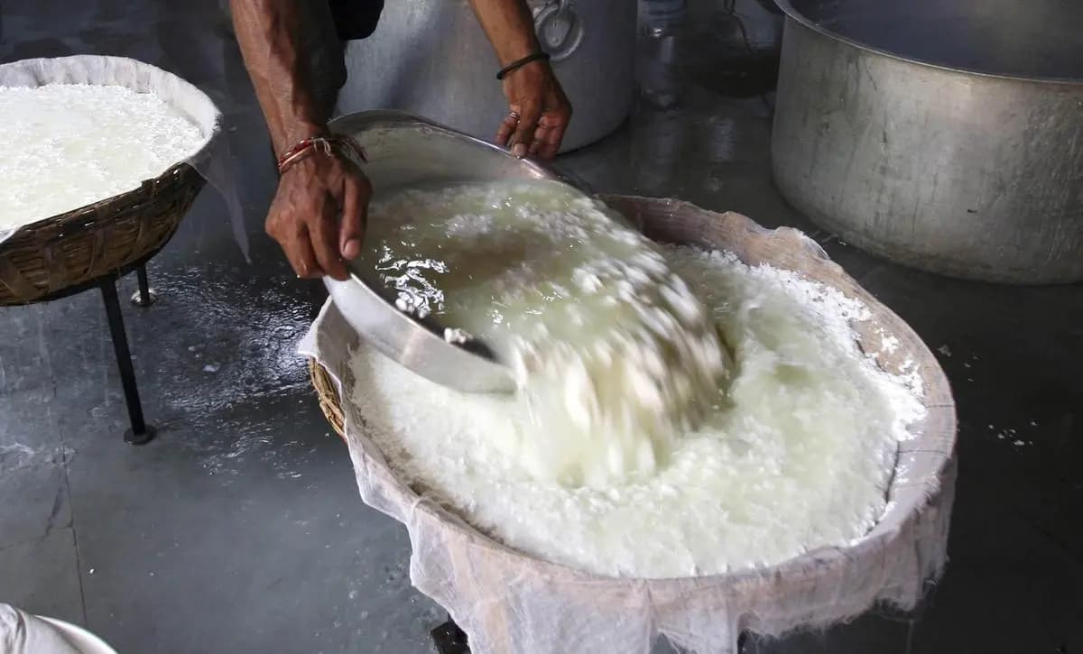  Kaladi Cheese Gets Scientific Upgrade for Global Reach