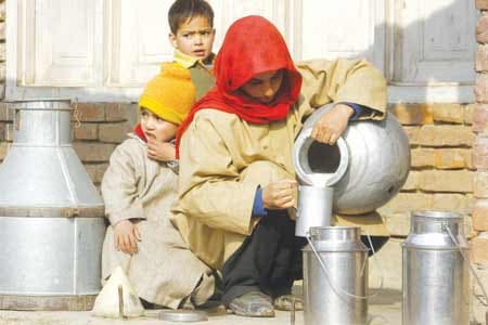 J&K Surpasses White Revolution 2.0 Dairy Targets