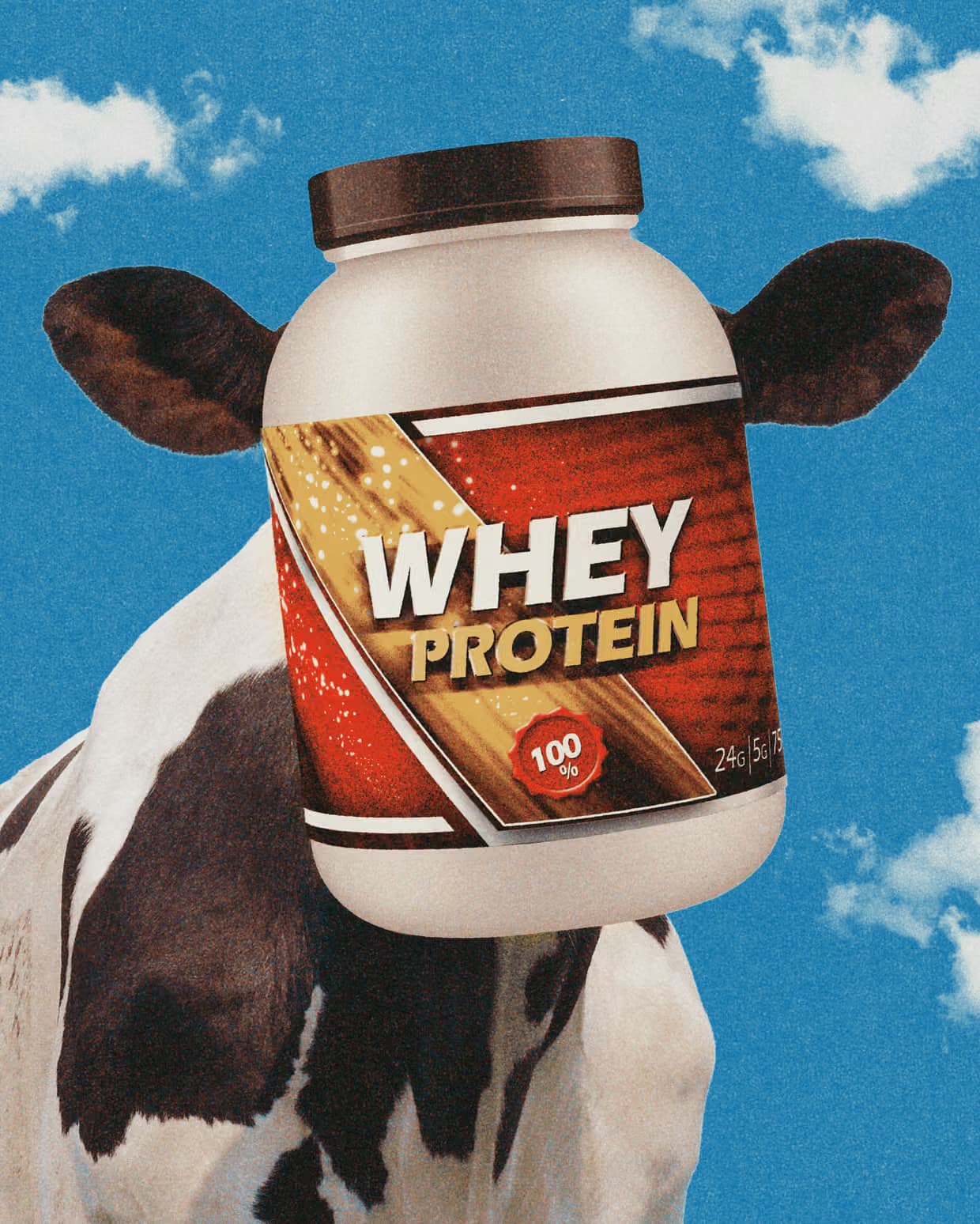Whey Protein Boom Reshapes Global Dairy Industry