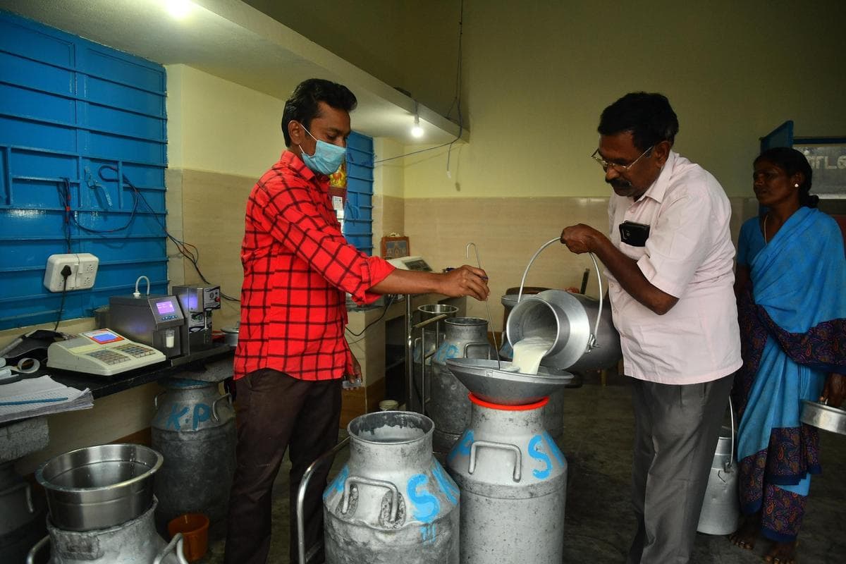 Tiruchi Aavin Milk Procurement Under Pressure