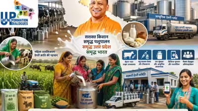 UP's Dairy Reforms Drive Record Milk Production