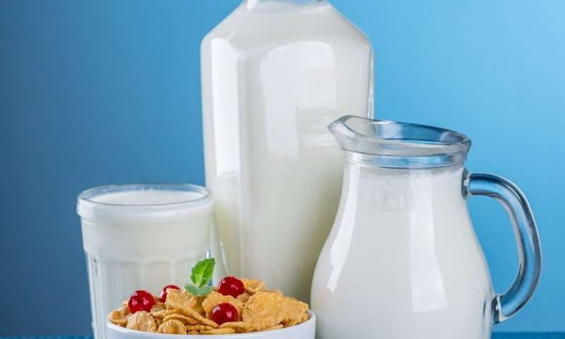 Study Finds Full-Fat Dairy Supports Healthy Body Composition