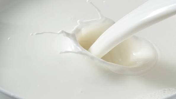 US Leads Global Decline in Dairy Futures