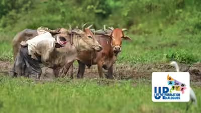 UP's Mini Nandini Scheme Boosts Rural Dairy Growth