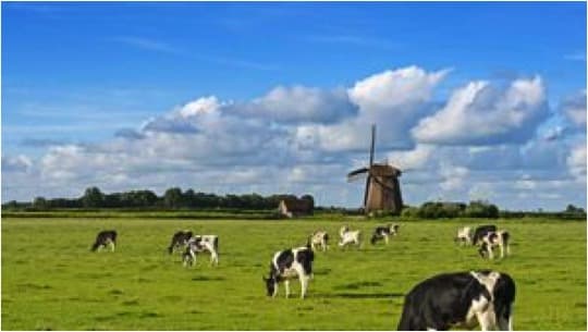 Global dairy in conflict of rising demand vs pressure to cut C02