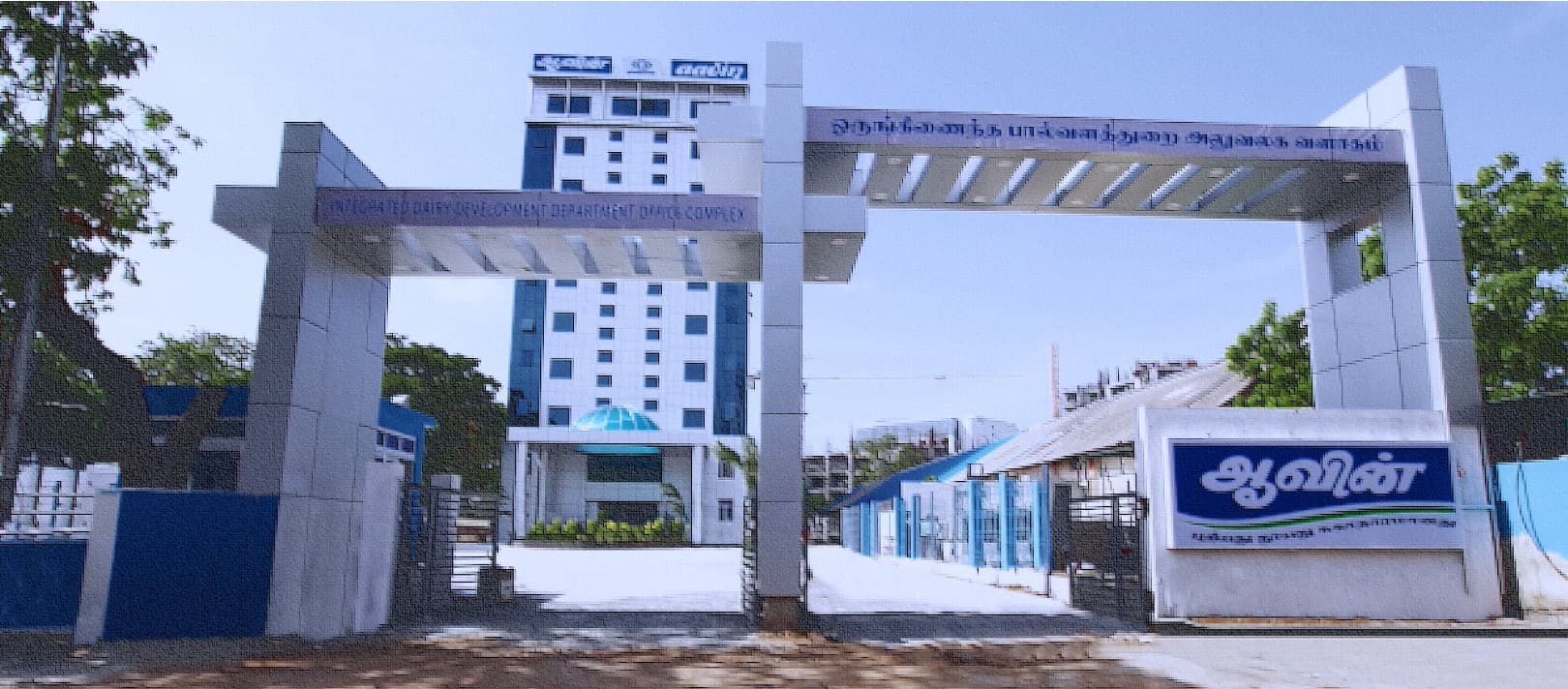 Revive Amul model in T.N.: dairy farmers