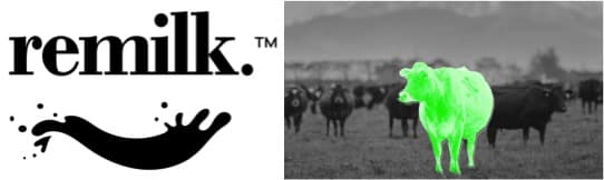 The fundie betting on the end of cow milk by backing up Remilk Israel