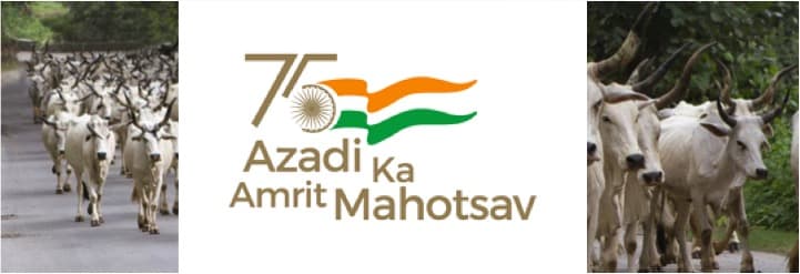 75 Facts about Indian dairy industry on Azadi ka amrit mahotsav