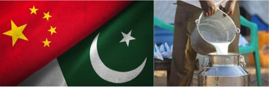 Dairy industry: PCJCCI underlines Pakistan, China cooperation