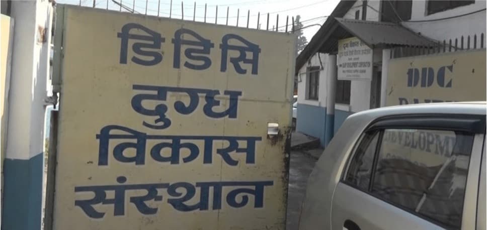 Time to privatize Dairy Development Corporation(DDC) in nepal