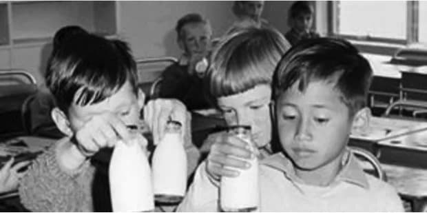 EU Parliament votes against plant-based milks in schools