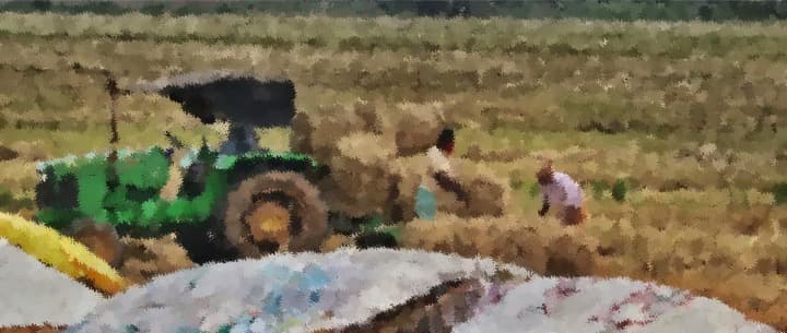 Govt saw fodder crisis coming over two years ago