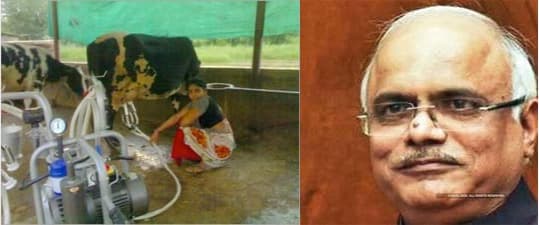 ICCR chief moots certificate course on ‘cow milking’