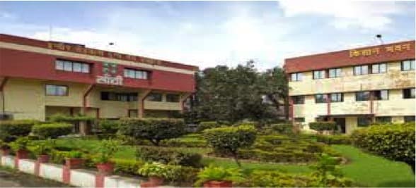 Milk collection up 15% in rainy season, sale dips