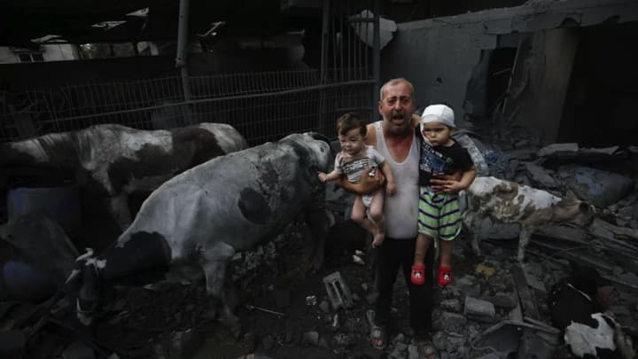 Israel helping milk producers suffering due to Gaza warWorld