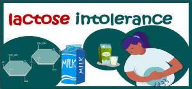 The curious case of lactose intolerance