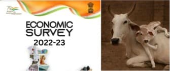 Livestock sector Catching Up in Recent Years