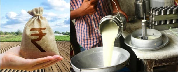 Fair price for farmers: How consumers can spur the change