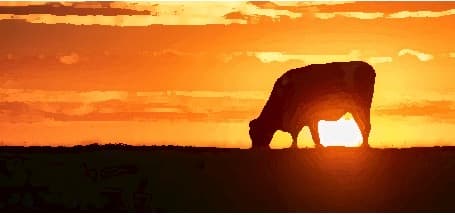 Looking at the dairy industry from here- the only way is to go Up