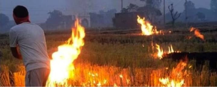 Addressing north India’s burning issue sustainably