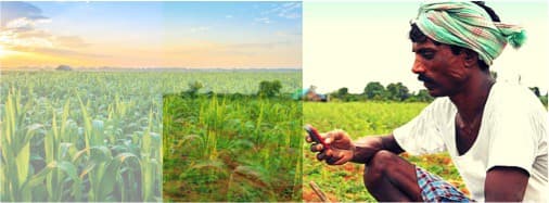 Every hour a farmer is committing suicide in India : Let us set new targets