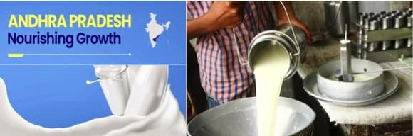 Andhra Pradesh registers 26% inc in milk production in 6 years