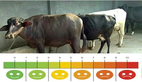 To be authentic is to be at peace with your imperfections