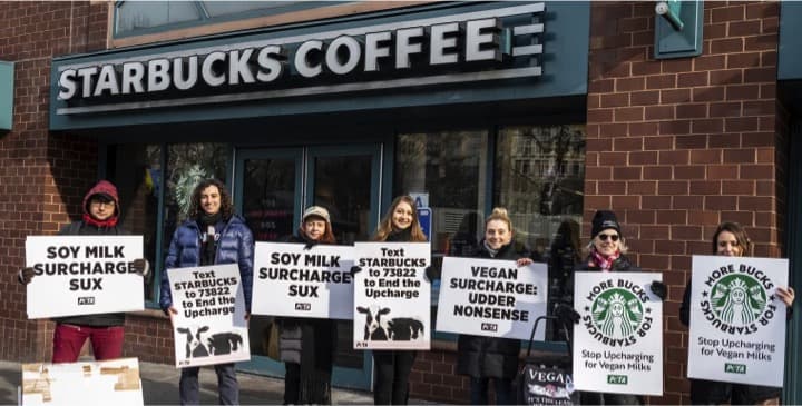 At some coffee shops, dairy-free milk isn’t free in USA