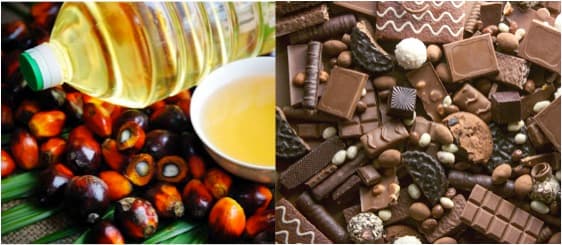 Chocolate is about to get more expensive due to upsurge in palm oil prices