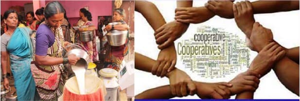 A leaf out of Telangana’s Cooperatives : Collective Action