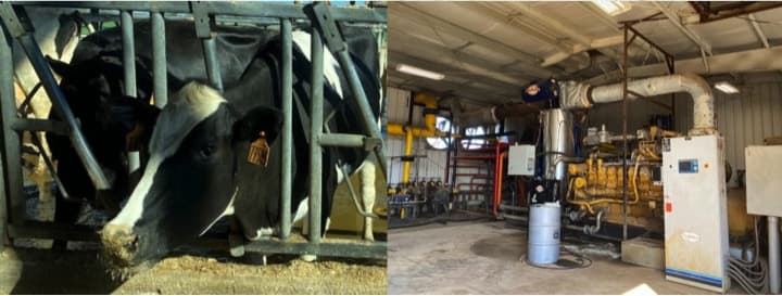 A dairy farm in Trenton in USA is turning cow poop into profits