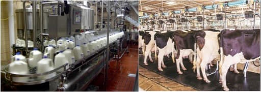 Less is More : Dairy Budget 2021-22 Analysed – A blog by Kuldeep Sharma Bydairynews7x7@gmail.com