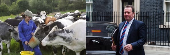 New regulations to promote transparency for dairy sector