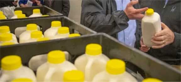 Entire dairy value chain feeling pressure around the world