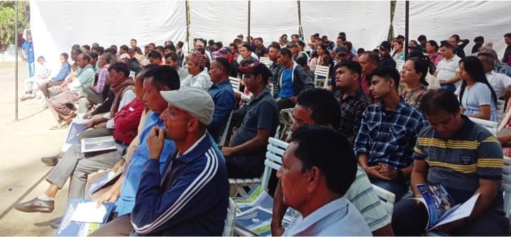 Increased turnover for DIMUL despite slump in milk collection