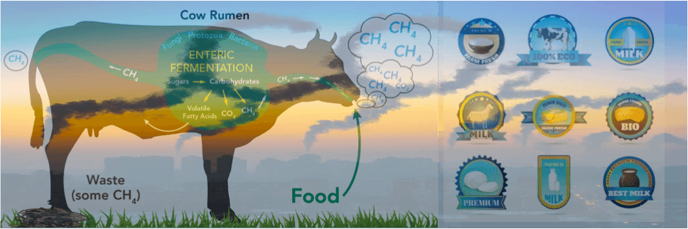 Carbon free Enviro labelling : Are we prepared for emerging consumer trends?