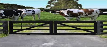 Higher farm gate milk price and higher consumer milk prices : Can they coexist? A blog