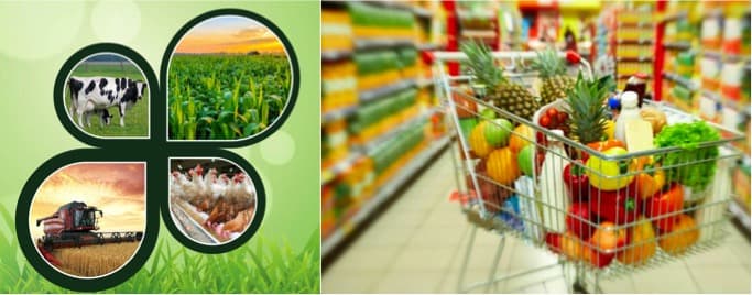 Farmer’s future lies outside farms — in dairy, poultry, food retail