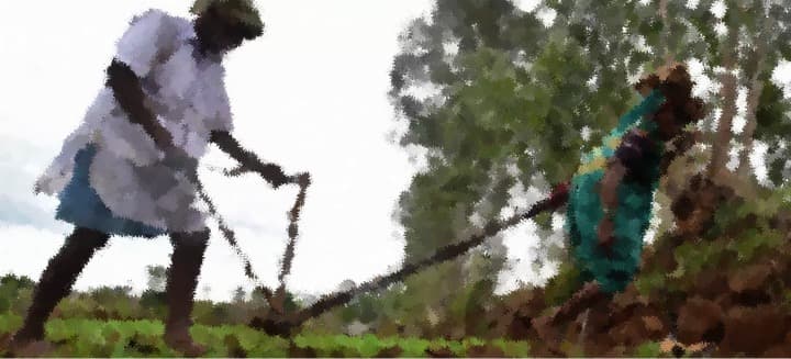 Why doubling farmers’ income still remains a dream